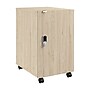 Bush Business Furniture Assure 26"H Storage Cabinet, Natural Elm (AUS116NESU)~#|#~C9F543F0-4C6B-428E-8CDE83190CA5D152_sc7