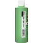 Apple Barrel Acrylic Paint Matte, 8oz., Spring Green, 6/Pack (APP20713E-6)~#|#~C9FDB76F-75A7-4822-ABF01FE6E399AAB1_sc7