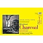 Strathmore 300 Series 11" x 17" Charcoal Sketch Pad, 32 Sheets/Pad, 2/Bundle (STTP3301111-2)~#|#~CA09AC3C-62EB-40B6-92948A98E0F5FA24_sc7
