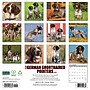 2027 Willow Creek German Shorthaired Pointers 12" x 12" Monthly Wall Calendar (60384)~#|#~CA0AEFB0-98A7-47F3-9B8B6710A1C3D66C_sc7