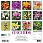 2026 Willow Creek Orchids 12" x 12" Monthly Wall Calendar (56035)~#|#~CA0D38D0-BC7A-42C4-B9FA75380E64784F_sc7