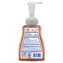 Dial Professional Antibacterial Defense with Aloe Foaming Hand Soap, Original Scent, 10 Fl. Oz., 8/Carton (1700035446)~#|#~CA335649-1379-4E10-AE614E21018DF180_sc7