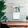 2026 BrownTrout Cavalier King Charles Spaniel Puppies 7" x 7" Monthly Wall Calendar (9798330702800)~#|#~CA3550F9-4A81-489E-A94BD95C4E8C3295_sc7