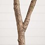 Nearly Natural 8' Autumn Maple Artificial Fall Tree (T4811)~#|#~CA4D6DFF-1E45-4C7E-B0312E8FD5537203_sc7