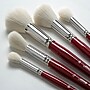 Silver Brush Silver Mops, Round Brushes, 5/Pack (SLVMP5662)~#|#~CA503A5F-31D3-4346-803D177C220723DB_sc7
