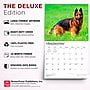 2027 BrownTrout For the Love of German Shepherds 14" x 12" Monthly Wall Calendar, Assorted Colors (9798330709250)~#|#~CA54DCCC-F110-40F6-AC0841E3B01A71D9_sc7