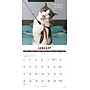 2027 Willow Creek Bad Kitties 12" x 12" Monthly Wall Calendar (58992)~#|#~CA589638-597F-4F93-8C6C862C8F09C96A_sc7