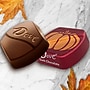 Dove Promises Harvest Pumpkins Dark Chocolate Pieces, 8.87 oz. (MMM58980)~#|#~CA7962C1-ACDD-46A8-87777C4ADA96BE09_sc7