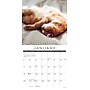 2026 Willow Creek Naptime: A Cat's Favorite Pastime 12" x 12" Monthly Wall Calendar (52082)~#|#~CA7FF0C4-CB71-44B8-B7D46333BBD9D279_sc7
