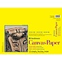 Strathmore 300 Series 12" x 16" Canvas Paper Pad, 10 Sheets/Pad (STTP310121)~#|#~CA9FBEC0-110F-4CD6-9966EC2074EA64C6_sc7