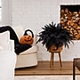 Nearly Natural 19" Artificial Halloween Black Boston Fern, 6/Set (P2199-S6)~#|#~CAA392B9-45D9-42A0-817343BABD26CE51_sc7