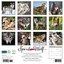 2026 Willow Creek Spirit of the Wolf 12" x 12" Monthly Wall Calendar (52884)~#|#~CAAE62C5-AB1D-4487-8EC7BD6C15ED0D8B_sc7