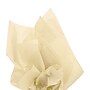 JAM Paper 20" x 26" Tissue Paper, Ivory, 10 Sheets/Pack (1155677)~#|#~CABE7F5C-58F0-44F1-AA37B0BABB05B852_sc7