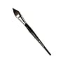da Vinci CASANEO Watercolor Synthetic Bristle Wash, Oval-Pointed Brush (DVXVA89824)~#|#~CAC89712-7909-4BEC-906A78F4278EC738_sc7