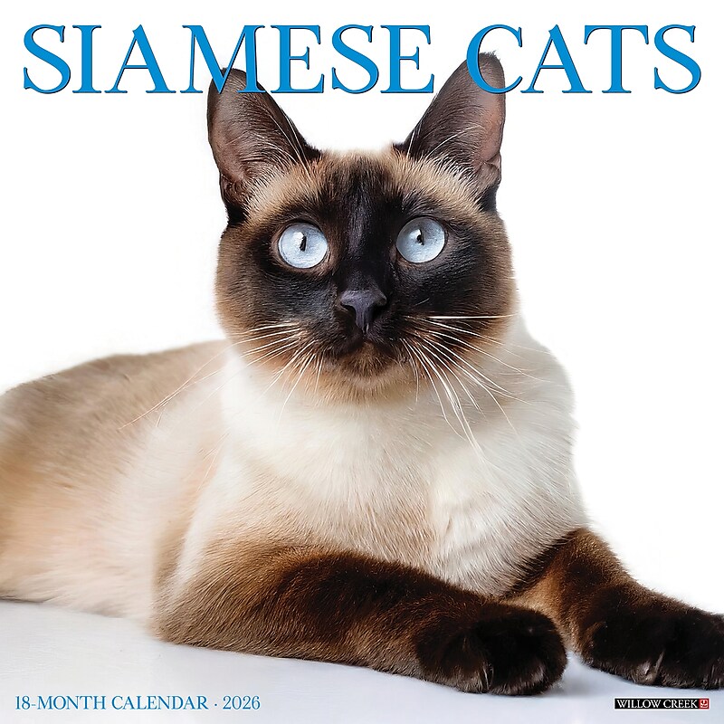 2026 Willow Creek Siamese Cats 12" x 12" Monthly Wall Calendar (52785) image 1