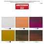 Amsterdam Portrait Acrylic Paint, Assorted Colors, 6/Pack (AMS17791907)~#|#~CAFA491E-0903-4FD6-82586A4888F43993_sc7