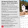 2026 BrownTrout Tuxedo Cats 12" x 12" Monthly Wall Calendar (9798330706068)~#|#~CB05AFA0-AE03-4292-A1DFC31E56172B99_sc7
