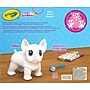 Crayola Scribble Scrubbie Big Wilbur Jumbo Pets Coloring Kit (74-0222)~#|#~CB1A788D-8BC2-4745-84CCD62F99FF1300_sc7