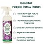 Absolute Green Eco-Friendly All-Purpose Cleaner, Lavender Spa, 2/Pack (LAVAll-2PK)~#|#~CB276403-77FE-4C92-A4CAB341EE9BA6CF_sc7
