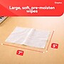 Staples Screen Cleaning Wipes, 100/Tub, 2/Pack (ST61848)~#|#~CB29A4C5-FBFA-4676-9534A9347CC23A18_sc7