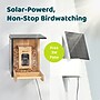 Birdfy Feeder Bamboo Mini with Camera, Solar Panel and Free AI Lifetime Subscription, Black & Brown (EPPAMBNI8412110)~#|#~CB2A6F74-AC49-4B6D-BBB1A398BD9AAA13_sc7