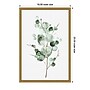 Amanti Art Tender Sprout I (Eucalyptus) by Eva Watts Framed Canvas Wall Art Print, 16" x 23" (A42675040760)~#|#~CB366785-2C33-41A4-8F8C5032DC036B30_sc7