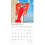 2026 BrownTrout Maine Coast 12" x 12" Monthly Wall Calendar (9798330704453)~#|#~CB3DBD24-A3B7-4ECB-B347596540F66963_sc7