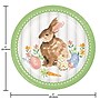 Creative Converting Cottage Easter Bunny Paper Plates and Napkins Kit, Serves 16 (DTC9199E2G)~#|#~CB4DCBC7-BD3F-4775-973A9792C4770C37_sc7