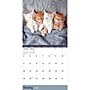 2026 TF Publishing Cat Dreams 12" x 12" Monthly Wall Calendar, Multi (26-1003)~#|#~CB52104D-5D8A-4A2A-8A353AE4AE340114_sc7