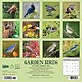 2026 Willow Creek Garden Birds 12" x 12" Monthly Wall Calendar (51184)~#|#~CB529578-53C0-460A-90A55EB1CECB0AE6_sc7