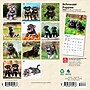 2026 BrownTrout Schnauzer Puppies 7" x 7" Monthly Wall Calendar (9798330705436)~#|#~CB74BB3D-7753-4101-8E2DE8D860BCC09C_sc7