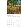 2026 BrownTrout Minnesota Wild & Scenic 12" x 12" Monthly Wall Calendar (9798330704606)~#|#~CB7AA0B5-E96C-402F-BC9DE2FEF95494B8_sc7