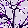 Nearly Natural Pre-Lit Artificial Halloween Spider Twig Tree, 3' (T5362)~#|#~CB90E4BE-E90C-49F8-97138B515285CD94_sc7