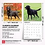 2027 BrownTrout Black Labrador Retrievers 12" x 12" Monthly Wall Calendar (9798330712557)~#|#~CB91E47A-F0BC-4828-BBEC2839A612D08C_sc7