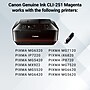 Canon 251 Magenta Standard Yield Ink Cartridge   (6515B001)~#|#~CB9A4702-73F2-4C21-9ACCD7EA17012238_sc7