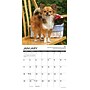 2026 Willow Creek Chihuahua Rules 12" x 12" Monthly Wall Calendar (50682)~#|#~CB9E57C8-461A-4FC6-8BA40E7C462F05F7_sc7