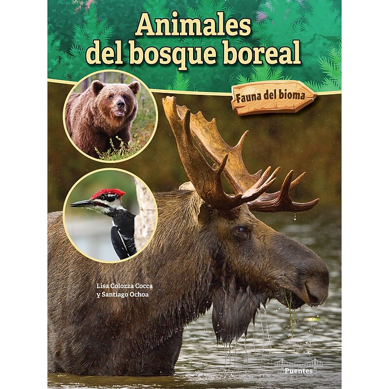 Carson-Dellosa Bridges Animales del bosque boreal, Hardcover (CD-9781731654601) image 1