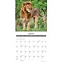 2026 Willow Creek Lions 12" x 12" Monthly Wall Calendar (55915)~#|#~CBA0D776-451A-451E-90FBDB6C63CC4128_sc7