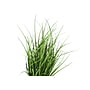Monarch Specialties Inc. 23" Artificial Grass Plant in Pot (I 9575)~#|#~CBA32D2B-CA64-4FF3-9DEEFA110CDA7F64_sc7