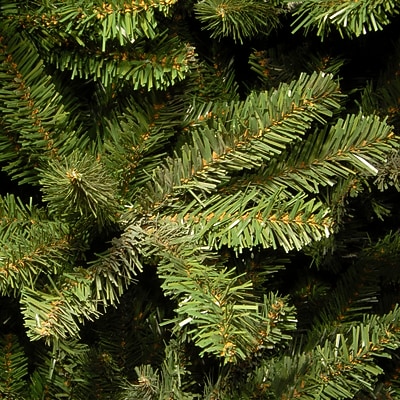 National Tree Company Fraser Fir Tree - Thumbnail 2