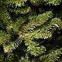 National Tree Company Natural Fraser Fir Artificial Christmas Tree (NAFFSLH1-65)~#|#~CBA6B895-B2DF-415E-8569AD7B6A6F220B_sc7