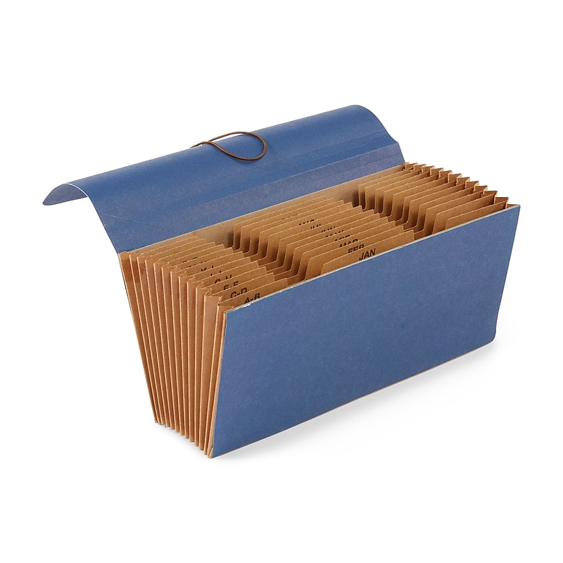 Staples Cancelled Check File, 8" Expansion, Check Size, 12-Pockets, Blue (MM71S) image 1