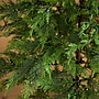 Nearly Natural 5-ft Pre-Lit Artificial Park City Pine Christmas Tree with 200 Multicolored LED Dewdrop Lights (T4800)~#|#~CBD512C2-2F11-4F2B-85018F52F2CDC237_sc7