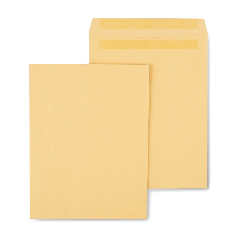 Staples Self Seal Kraft Catalog Envelopes, 10"L x 13"H, Brown, 100/Box (534818/19022) image 1
