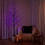 Nearly Natural Pre-Lit Halloween Black Twig Artificial Tree, 7' (T5168)~#|#~CBF6B73C-0ADA-4356-A29B4C9A171C6A6C_sc7
