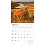 2026 BrownTrout North Dakota Wild & Scenic 12" x 12" Monthly Wall Calendar (9798330704927)~#|#~CBF8C3E1-E275-47A1-9574783BE4C4F716_sc7