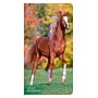 2026-2027 BrownTrout Horse Lovers 3.5" x 6.5" Monthly Planner (9798330703715)~#|#~CBF93B50-C37C-4C3C-89D10F0661192415_sc7