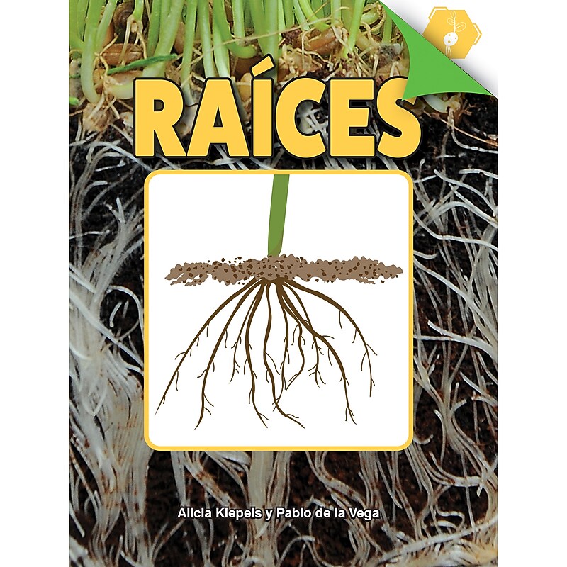 Carson-Dellosa Discovery Library Raíces Book, Hardcover (CD-9781731654472) image 1