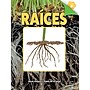 Carson-Dellosa Discovery Library Raíces Book, Hardcover (CD-9781731654472)~#|#~CC026B37-2D52-4425-9D96CECE73765617_sc7