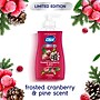 Dial Antibacterial Limited Edition Liquid Hand Soap, Frosted Cranberry & Pine Scent,  11 oz. (1700035953)~#|#~CC05CB57-0FC4-4DDD-8A77E4738357B8C6_sc7